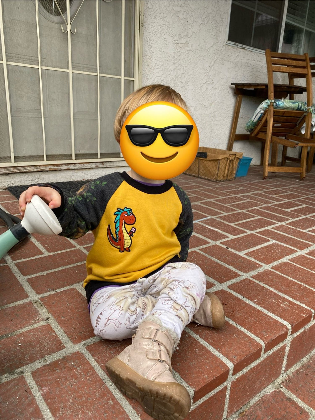 Dracomax Iron-On Patch